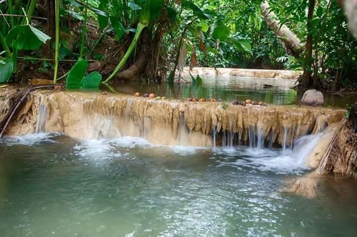 Baan Suan Tondin Hotel สตูล ภายนอก รูปภาพ